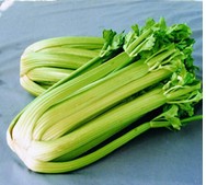 Fresh Celery  Made in Korea